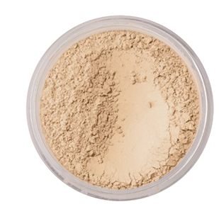 PHOERA Oil Control Translucent Face Powder